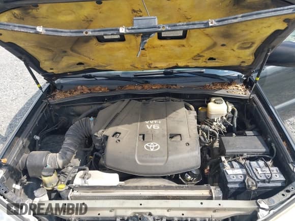 ✅ 2008 Toyota 4Runner SR5 • VIN: JTEZU14R68K011381 • Lot: 43031679. Wystawiony na IAAI z przebiegiem 316 474 mil. Bezpłatny archiwum sprzedaży aukcyjnych z USA i szczegółowy raport historii pojazdu na DreamBid. Zdjęcie 10.