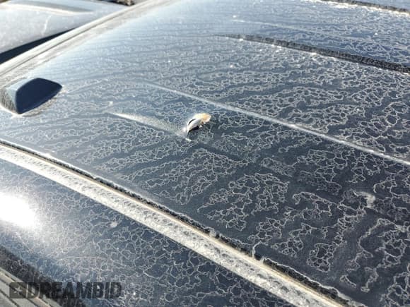 ✅ 2017 Nissan Titan Pro-4X • VIN: 1N6BA1F44HN544745 • Лот: 70136835. Опубликован ранее на Copart с пробегом Не указан. Бесплатный доступ к архиву аукционных продаж из США и подробный отчёт об истории автомобиля на DreamBid. Изображение 12.