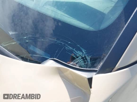 2024 Hyundai Santa Cruz SEL с VIN 5NTJB4AE7RH088708, выставлен на аукционе IAAI как лот 40751476 с пробегом 26 736 миль миль и . История ставок и продаж доступна на DreamBid. Изображение 18.