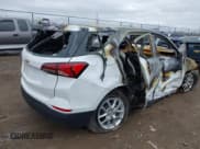 ✅ 2024 Chevrolet Equinox LS • VIN: 3GNAXHEG2RL349124 • Lot: 41925318. Listed on IAAI with Not provided. Free auction sales archive from the USA and detailed vehicle history report at DreamBid. Image 4.