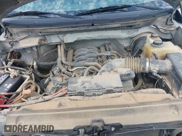 ✅ 2011 Ford F-150 XL • VIN: 1FTNF1CF8BKE00552 • Лот: 43042364. Опубликован ранее на IAAI с пробегом 114 445 миль. Бесплатный доступ к архиву аукционных продаж из США и подробный отчёт об истории автомобиля на DreamBid. Изображение 10.