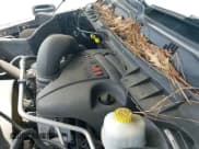 ✅ 2010 Dodge 1500 SLT • VIN: 1D7RB1CT2AS144707 • Lot: 42330344. Wystawiony na IAAI z przebiegiem 238 672 mil. Bezpłatny archiwum sprzedaży aukcyjnych z USA i szczegółowy raport historii pojazdu na DreamBid. Zdjęcie 19.