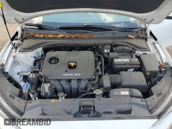 2019 Hyundai Veloster 2.0 z VIN KMHTG6AFXKU015613, wystawiony jako Copart lot #54073665 z przebiegiem 94 066 mil mil oraz Szkoda całkowita • Salvage title. Historia ofert i sprzedaży dostępna na DreamBid. Obrazek 11.