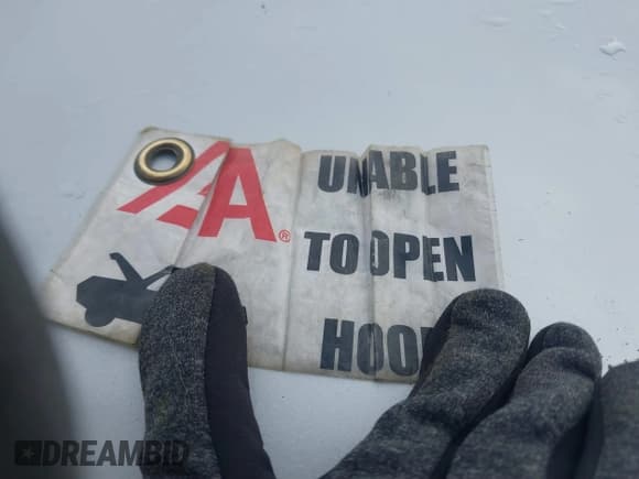 ✅ 2014 Nissan Titan SV • VIN: 1N6AA0EJ6EN514087 • Lot: 41273208. Wystawiony na IAAI z przebiegiem 129 222 mil. Bezpłatny archiwum sprzedaży aukcyjnych z USA i szczegółowy raport historii pojazdu na DreamBid. Zdjęcie 10.