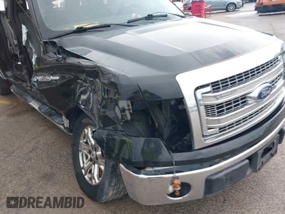 ✅ 2013 Ford F-150 XL • VIN: 1FTEW1CM4DFB64962 • Lot: 42609876. Listed on IAAI with 193,906 mi. Free auction sales archive from the USA and detailed vehicle history report at DreamBid. Image 6.