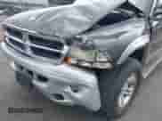 2002 Dodge Dakota SLT с VIN 1B7HG48N02S519241, выставлен на аукционе IAAI как лот 43121163 с пробегом 102 842 миль миль и . История ставок и продаж доступна на DreamBid. Изображение 6.