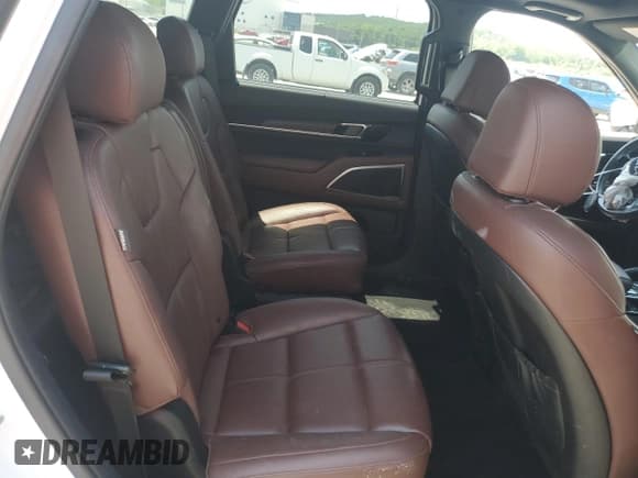 ✅ 2023 Kia Telluride SX • VIN: 5XYP5DGC5PG357394 • Lot: 59444805. Listed on Copart with 54,909 mi. Free auction sales archive from the USA and detailed vehicle history report at DreamBid. Image 11.