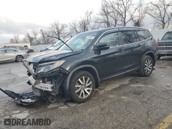 ✅ 2020 Honda Pilot EX-L • VIN: 5FNYF6H58LB020281 • Lot: 92300445. Listed on Copart with Not provided. Free auction sales archive from the USA and detailed vehicle history report at DreamBid. Image 1.