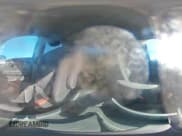 ✅ 2019 Honda Ridgeline Sport • VIN: 5FPYK3F10KB045000 • Lot: 85671245. Listed on Copart with 67,633 mi. Free auction sales archive from the USA and detailed vehicle history report at DreamBid. Image 14.