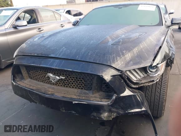 ✅ 2017 Ford Mustang GT • VIN: 1FA6P8CF2H5277824 • Lot: 43189021. Wystawiony na IAAI z przebiegiem 33 174 mil. Bezpłatny archiwum sprzedaży aukcyjnych z USA i szczegółowy raport historii pojazdu na DreamBid. Zdjęcie 13.