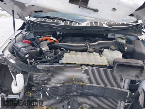 ✅ 2022 Ford F-150 XL • VIN: 1FTFW1ED6NFA62209 • Lot: 42916473. Listed on IAAI with 44,156 mi. Free auction sales archive from the USA and detailed vehicle history report at DreamBid. Image 10.