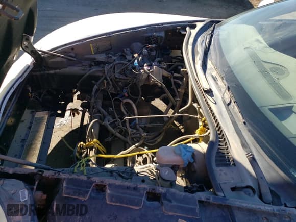 ✅ 2009 Chevrolet Corvette 3LT • VIN: 1G1YY26W595114233 • Lot: 78822534. Listed on Copart with Not provided. Free auction sales archive from the USA and detailed vehicle history report at DreamBid. Image 11.