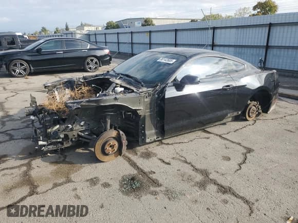 ✅ 2019 Ford Mustang GT Premium • VIN: 1FA6P8CFXK5193161 • Lot: 86142685. Listed on Copart with Not provided. Free auction sales archive from the USA and detailed vehicle history report at DreamBid. Image 1.