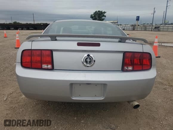 ✅ 2005 Ford Mustang Deluxe • VIN: 1ZVHT80N955249439 • Лот: 55536255. Опубликован ранее на Copart с пробегом 118 984 миль. Бесплатный доступ к архиву аукционных продаж из США и подробный отчёт об истории автомобиля на DreamBid. Изображение 6.
