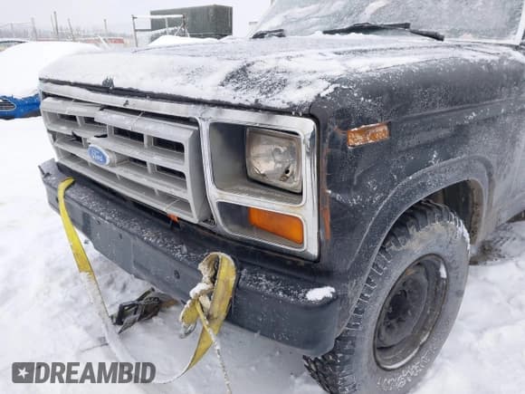 ✅ 1985 Ford F-250 • VIN: 1FTEF25Y8FPA75589 • Лот: 43770847. Опубликован ранее на IAAI с пробегом 337 269 миль. Бесплатный доступ к архиву аукционных продаж из США и подробный отчёт об истории автомобиля на DreamBid. Изображение 6.