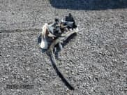 ✅ 2011 Hyundai Sonata GLS • VIN: 5NPEB4AC4BH260648 • Лот: 67409254. Опубликован ранее на Copart с пробегом 225 268 миль. Бесплатный доступ к архиву аукционных продаж из США и подробный отчёт об истории автомобиля на DreamBid. Изображение 12.