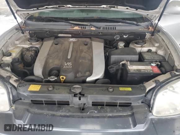 2005 Hyundai Santa Fe GLS с VIN KM8SC13E55U944711, выставлен на аукционе Copart как лот 47518465 с пробегом 174 792 миль миль и Списание • Salvage title. История ставок и продаж доступна на DreamBid. Изображение 12.