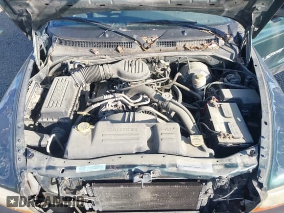 ✅ 2000 Dodge Dakota • VIN: 1B7GL22X3YS547193 • Lot: 42073887. Wystawiony na IAAI z przebiegiem 115 429 mil. Bezpłatny archiwum sprzedaży aukcyjnych z USA i szczegółowy raport historii pojazdu na DreamBid. Zdjęcie 10.