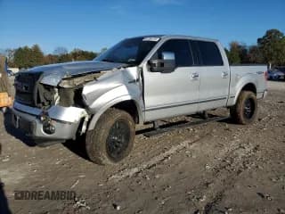 ✅ 2010 Ford F-150 XL • VIN: 1FTFW1EV2AFA61335 • Lot: 91194115. Listed on Copart with 329,968 mi. Free auction sales archive from the USA and detailed vehicle history report at DreamBid. Image 1.