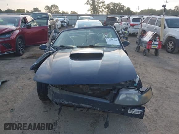 ✅ 2003 Ford Mustang Deluxe • VIN: 1FAFP44493F403671 • Lot: 43186489. Listed on IAAI with Not provided. Free auction sales archive from the USA and detailed vehicle history report at DreamBid. Image 12.