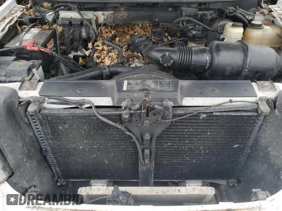 ✅ 2008 Ford F-150 STX • VIN: 1FTRX14W08FC29858 • Lot: 50983295. Listed on Copart with 195,881 mi. Free auction sales archive from the USA and detailed vehicle history report at DreamBid. Image 11.