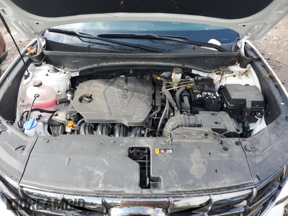 ✅ 2022 Hyundai Tucson SEL • VIN: 5NMJCCAE6NH048276 • Lot: 63550633. Wystawiony na Copart z przebiegiem Nie podano. Bezpłatny archiwum sprzedaży aukcyjnych z USA i szczegółowy raport historii pojazdu na DreamBid. Zdjęcie 12.