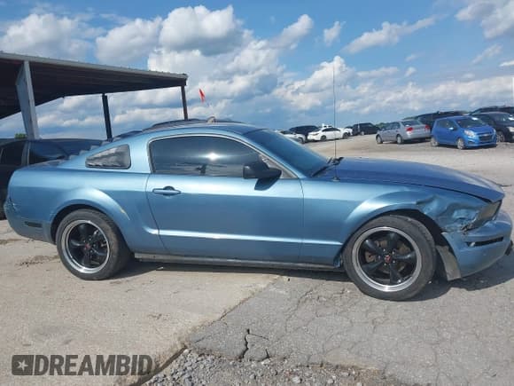 ✅ 2005 Ford Mustang Deluxe • VIN: 1ZVFT80N155168894 • Lot: 42331054. Listed on IAAI with 194,939 mi. Free auction sales archive from the USA and detailed vehicle history report at DreamBid. Image 13.