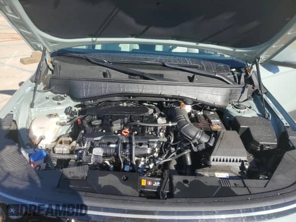 2024 Hyundai Kona Limited with VIN KM8HE3A35RU151688, listed as a Copart auction lot 41855635 with 14,340 mi miles and Clean title. Bid and sale history available at DreamBid. Image 11.