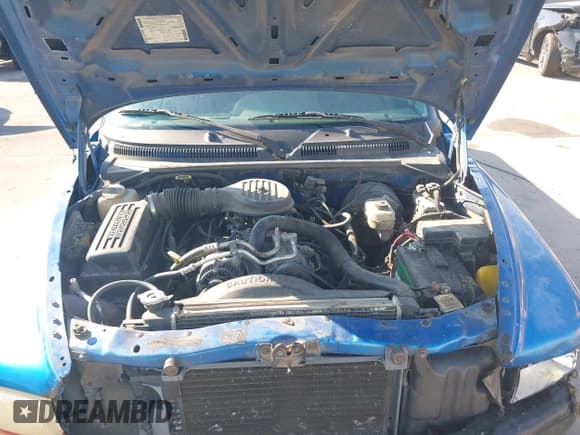 ✅ 1999 Dodge Dakota SLT • VIN: 1B7GL22Y9XS307637 • Lot: 43460284. Wystawiony na IAAI z przebiegiem 321 999 mil. Bezpłatny archiwum sprzedaży aukcyjnych z USA i szczegółowy raport historii pojazdu na DreamBid. Zdjęcie 10.