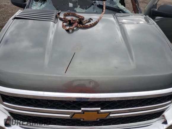 ✅ 2011 Chevrolet Silverado 2500HD • VIN: 1GB2KVCL6BZ180125 • Лот: 49629015. Опубликован ранее на Copart с пробегом Не указан. Бесплатный доступ к архиву аукционных продаж из США и подробный отчёт об истории автомобиля на DreamBid. Изображение 11.