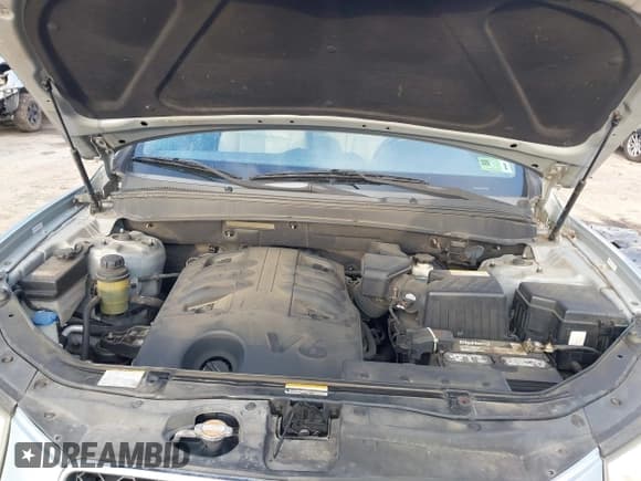 ✅ 2008 Hyundai Santa Fe SE • VIN: 5NMSH73E38H218866 • Lot: 43098609. Wystawiony na IAAI z przebiegiem 167 234 mil. Bezpłatny archiwum sprzedaży aukcyjnych z USA i szczegółowy raport historii pojazdu na DreamBid. Zdjęcie 10.