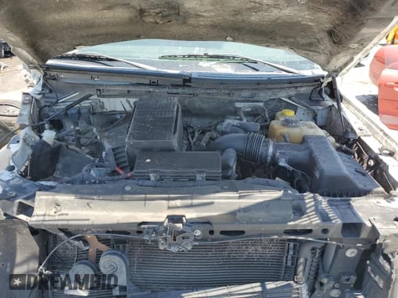 ✅ 2014 Ford F-150 XL • VIN: 1FTEX1CM5EFA57031 • Lot: 57641975. Wystawiony na Copart z przebiegiem 280 074 mil. Bezpłatny archiwum sprzedaży aukcyjnych z USA i szczegółowy raport historii pojazdu na DreamBid. Zdjęcie 11.