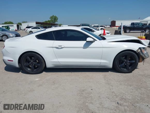 ✅ 2017 Ford Mustang EcoBoost • VIN: 1FA6P8TH5H5322174 • Lot: 42999647. Wystawiony na IAAI z przebiegiem 142 541 mil. Bezpłatny archiwum sprzedaży aukcyjnych z USA i szczegółowy raport historii pojazdu na DreamBid. Zdjęcie 13.