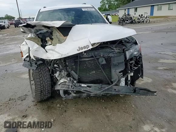 ✅ 2017 Jeep Grand Cherokee 75th Anniversary • VIN: 1C4RJEAG3HC696232 • Lot: 57362055. Listed on Copart with 105,440 mi. Free auction sales archive from the USA and detailed vehicle history report at DreamBid. Image 14.