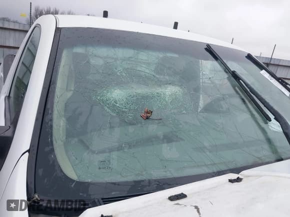 ✅ 2011 Chevrolet Silverado 2500HD Work Truck • VIN: 1GC0CVCG1BF221541 • Lot: 41500957. Wystawiony na IAAI z przebiegiem 206 866 mil. Bezpłatny archiwum sprzedaży aukcyjnych z USA i szczegółowy raport historii pojazdu na DreamBid. Zdjęcie 19.