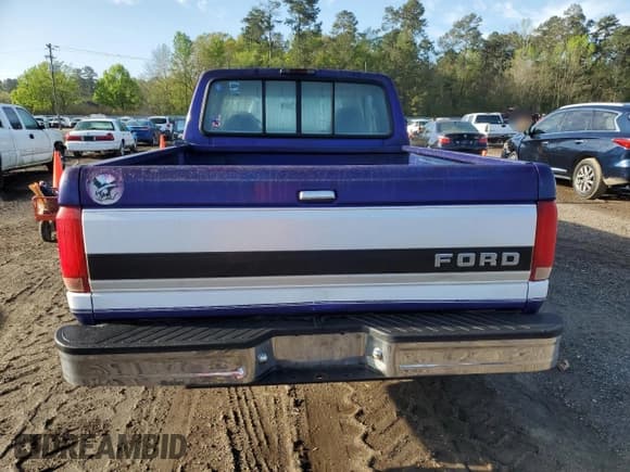 ✅ 1995 Ford F-150 • VIN: 1FTEX15YXSKA04036 • Lot: 50016565. Listed on Copart with Not provided. Free auction sales archive from the USA and detailed vehicle history report at DreamBid. Image 6.
