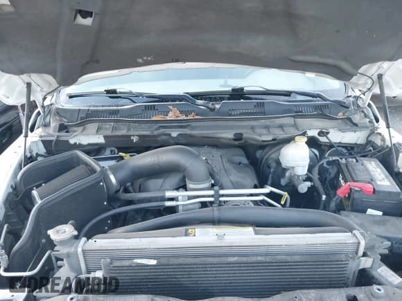 ✅ 2010 Dodge 1500 SLT • VIN: 1D7RV1CT9AS221497 • Lot: 41532326. Wystawiony na IAAI z przebiegiem 188 174 mil. Bezpłatny archiwum sprzedaży aukcyjnych z USA i szczegółowy raport historii pojazdu na DreamBid. Zdjęcie 10.