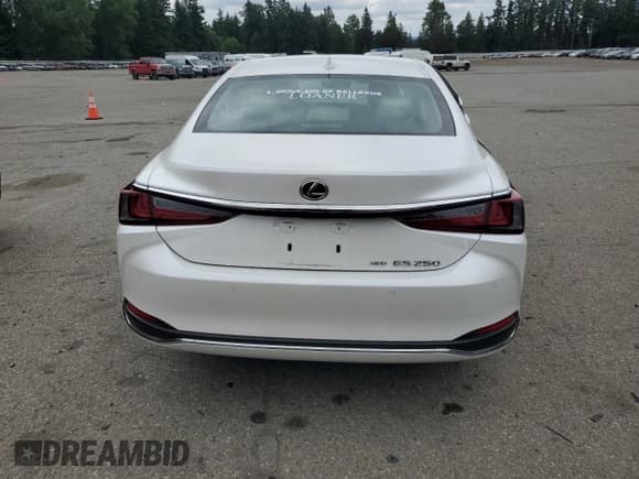 ✅ 2024 Lexus ES 250 • VIN: 58AD11D19RU012276 • Lot: 61096895. Wystawiony na Copart z przebiegiem 5 595 mil. Bezpłatny archiwum sprzedaży aukcyjnych z USA i szczegółowy raport historii pojazdu na DreamBid. Zdjęcie 6.