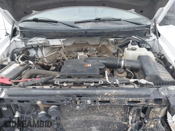 ✅ 2010 Ford F-150 XL • VIN: 1FTEX1EW7AKE10692 • Lot: 41471898. Wystawiony na IAAI z przebiegiem 180 835 mil. Bezpłatny archiwum sprzedaży aukcyjnych z USA i szczegółowy raport historii pojazdu na DreamBid. Zdjęcie 10.