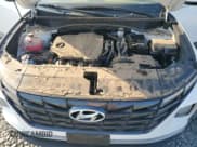 ✅ 2024 Hyundai Tucson SE • VIN: 5NMJACDE8RH436892 • Lot: 65990125. Wystawiony na Copart z przebiegiem Nie podano. Bezpłatny archiwum sprzedaży aukcyjnych z USA i szczegółowy raport historii pojazdu na DreamBid. Zdjęcie 12.