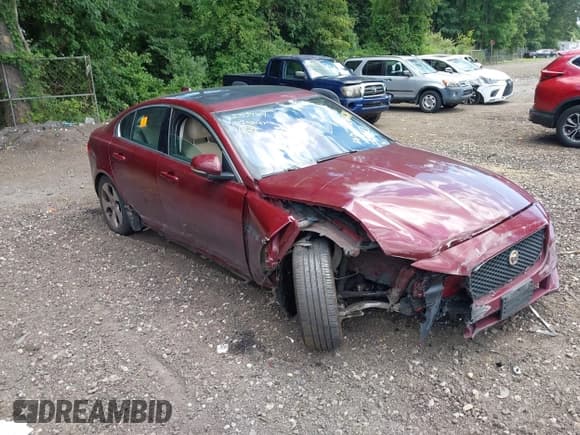 ✅ 2017 Jaguar XE 25t • VIN: SAJAR4BG3HA975661 • Lot: 42793464. Listed on IAAI with Not provided. Free auction sales archive from the USA and detailed vehicle history report at DreamBid. Image 1.