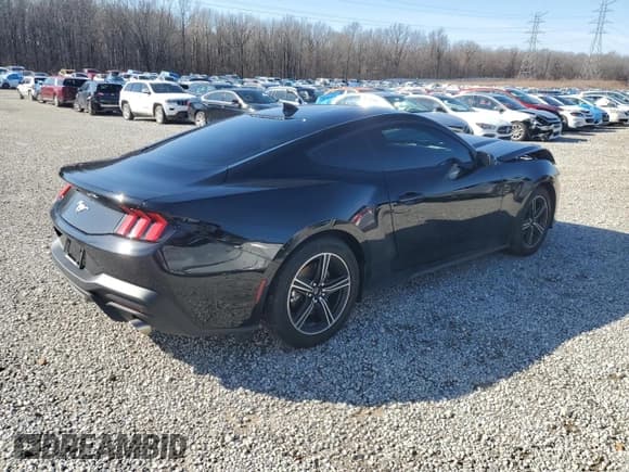 ✅ 2025 Ford Mustang EcoBoost • VIN: 1FA6P8TH2S5101557 • Lot: 45696295. Listed on Copart with 551 mi. Free auction sales archive from the USA and detailed vehicle history report at DreamBid. Image 3.