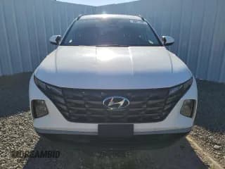 ✅ 2024 Hyundai Tucson SEL • VIN: 5NMJBCDE9RH329119 • Lot: 81148214. Wystawiony na Copart z przebiegiem 24 386 mil. Bezpłatny archiwum sprzedaży aukcyjnych z USA i szczegółowy raport historii pojazdu na DreamBid. Zdjęcie 5.