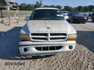 1998 Dodge Dakota SLT z VIN 1B7FL26X0WS729260, wystawiony jako Copart lot #77902074 z przebiegiem Nie podano mil oraz Nie do naprawy • Non repairable. Historia ofert i sprzedaży dostępna na DreamBid. Obrazek 5.