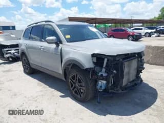 ✅ 2024 Kia Telluride SX Prestige X-Pro • VIN: 5XYP5DGC1RG467748 • Лот: 42613478. Опубликован ранее на IAAI с пробегом 21 129 миль. Бесплатный доступ к архиву аукционных продаж из США и подробный отчёт об истории автомобиля на DreamBid. Изображение 1.