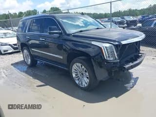 ✅ 2019 Cadillac Escalade Platinum • VIN: 1GYS4DKJ9KR138333 • Lot: 42523430. Listed on IAAI with 104,787 mi. Free auction sales archive from the USA and detailed vehicle history report at DreamBid. Image 1.