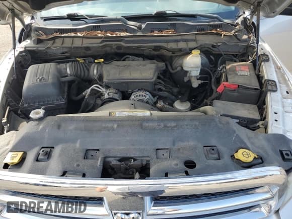 ✅ 2010 Dodge 1500 SLT • VIN: 1D7RB1GP7AS118164 • Lot: 48877555. Wystawiony na Copart z przebiegiem 114 099 mil. Bezpłatny archiwum sprzedaży aukcyjnych z USA i szczegółowy raport historii pojazdu na DreamBid. Zdjęcie 11.