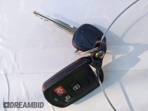 ✅ 2004 Hyundai Santa Fe GLS • VIN: KM8SC13E44U672070 • Lot: 43383997. Listed on IAAI with 219,150 mi. Free auction sales archive from the USA and detailed vehicle history report at DreamBid. Image 11.