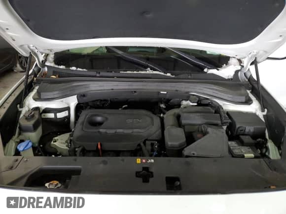 ✅ 2020 Hyundai Santa Fe SEL • VIN: 5NMS3CADXLH210970 • Lot: 37771583. Wystawiony na Copart z przebiegiem 44 248 mil. Bezpłatny archiwum sprzedaży aukcyjnych z USA i szczegółowy raport historii pojazdu na DreamBid. Zdjęcie 13.