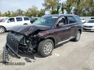 2024 Hyundai Palisade SEL с VIN KM8R2DGE2RU741374, выставлен на аукционе Copart как лот 81117145 с пробегом 10 166 миль миль и Списание • Salvage title. История ставок и продаж доступна на DreamBid. Изображение 1.